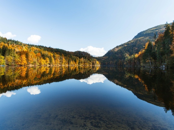 Nussensee im Herbst