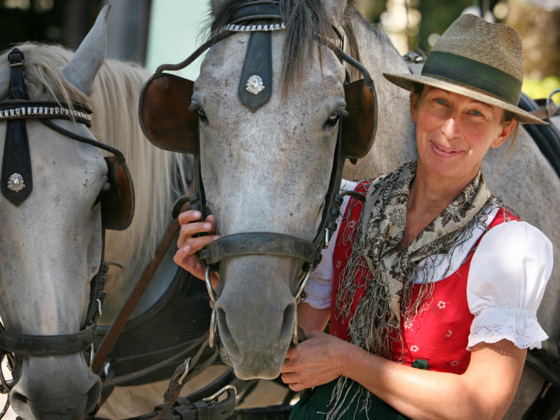 Pferdekutsche im Winter