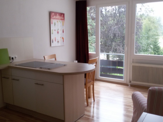 Bad Ischl Riverside 1