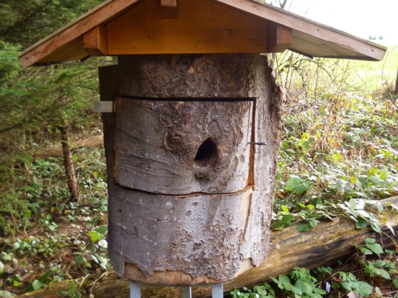 Wer wohnt wohl hier?