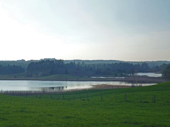 Weiter Blick von Iffeldorf über Seng- und Fohnsee.