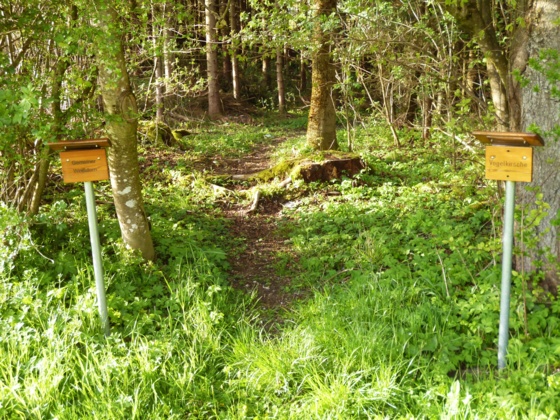 Holztafeln weisen auf die am Waldrand wachsenden Sträucher hin.