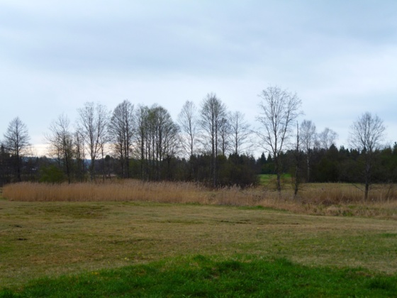 Die einzigartige Grasleitner Moorlandschaft.