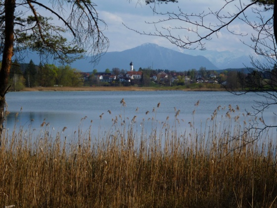 Vom Nordufer des Fohnsees bietet sich ein herrlicher Blick auf Iffeldorf.