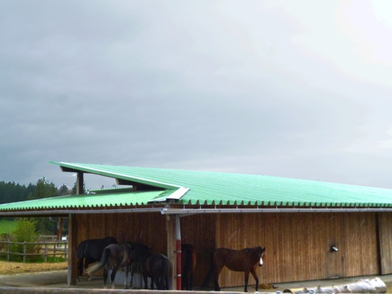 Der Reitstall des Gut Schörghof.