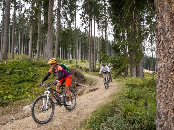 Kleinarler Runde MTB