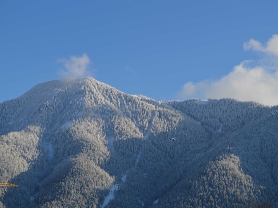 Blick auf den Wallberg