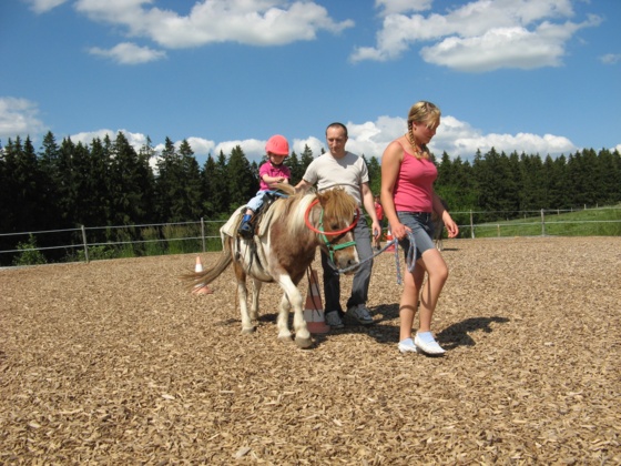 Fitness für Ross und Reiter im Fitness-Stall Badwerk