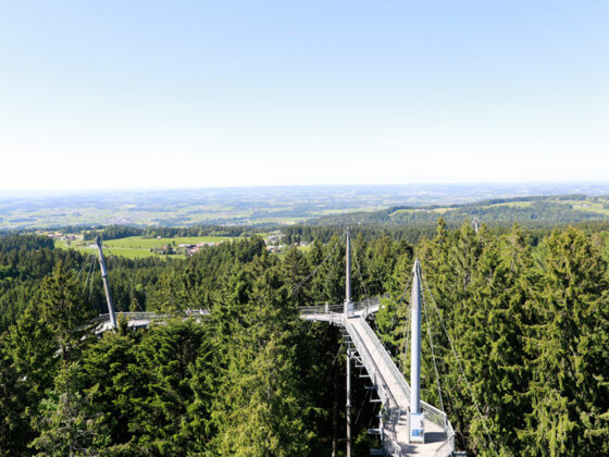 Baumwipfelpfad skywalk allgäu