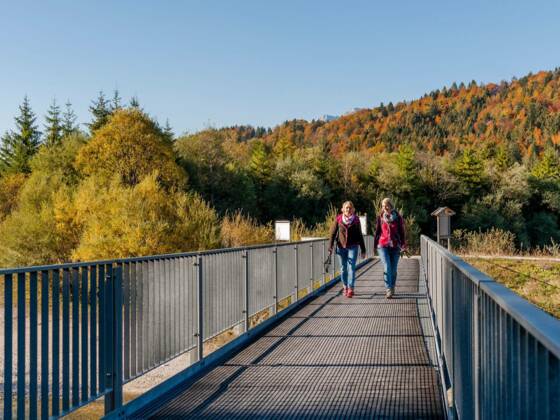 Wanderung um den Isarstausee im Herbst