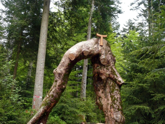 Besinnungspfad in Weitnau-Eisenbolz