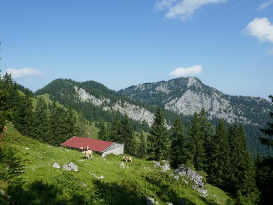 Blick über die Elbachalm in Richtung Breitenstein