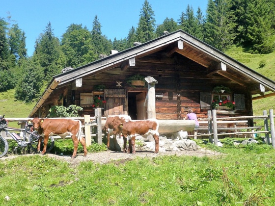 Sellarnalm