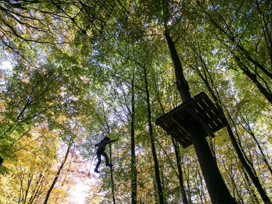 waldkletterpark-9521