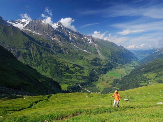 Aufstieg in die Pfandlscharte vom Käfertal