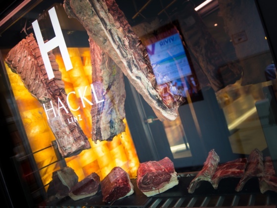 Hackl Linz