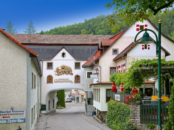 Gasthof Eisentor - Losenstein