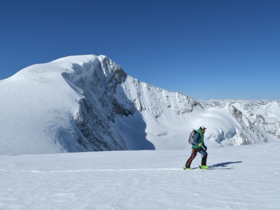 Kleinvenediger, Blick auf Großvenediger