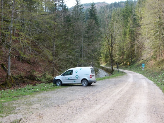 Parkplatz Weißwasser