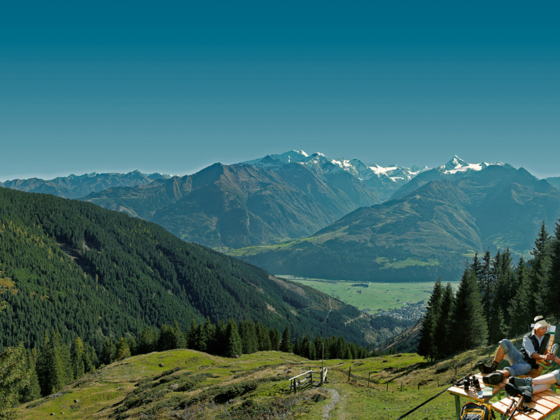 Tauernliege -Pinzgauer Hütte
