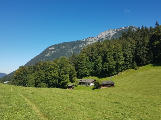 Das Hinterbrandlehen