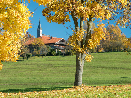 Blick zum Steinhögl