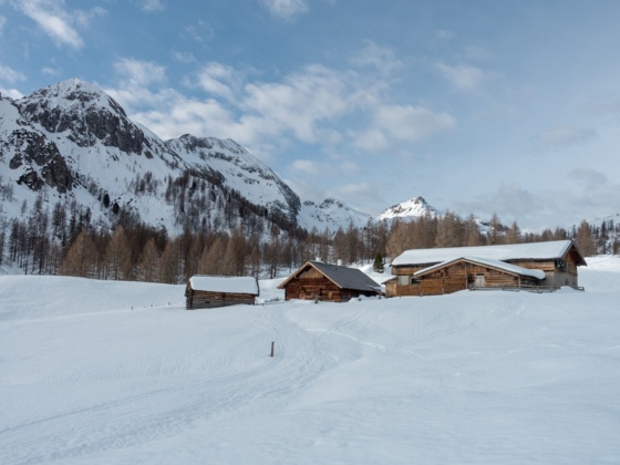 Die Hütten auf der Tauernkarleitenalm mit Blick in Richtung Steinfeldspitze und Gamskogel