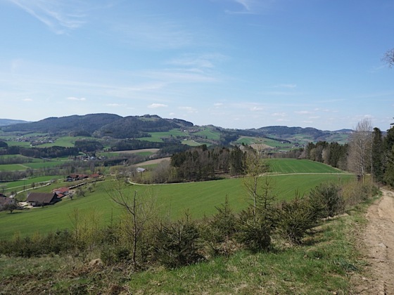 Blick zum Gallner über Weingarten