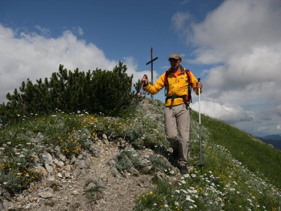 Halserspitz
