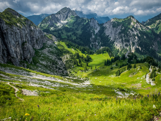 Blick Richtung Niederstraußberg
