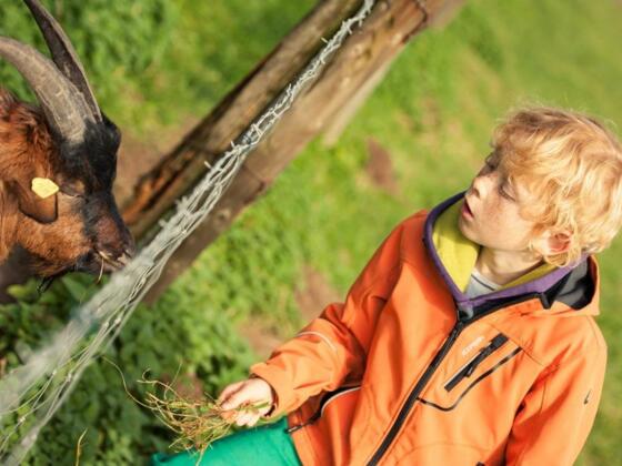 Los geht's - Radrundtour Bauernhofsafari