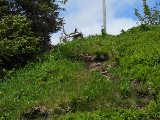 Gipfel der Sienspitze