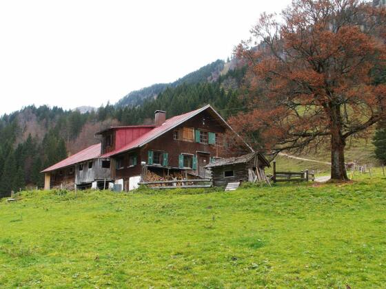 Die Alpe Vorsäß III im Gunzesrieder Tal.