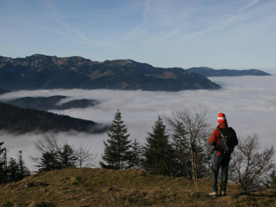 Blick vom Gipfel auf den Isartal-Nebel.