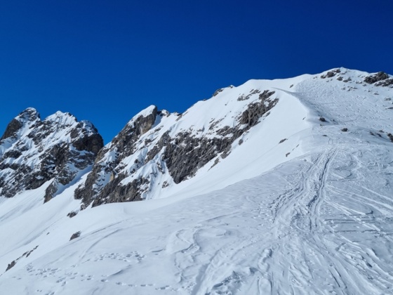 Steinschartenkopf