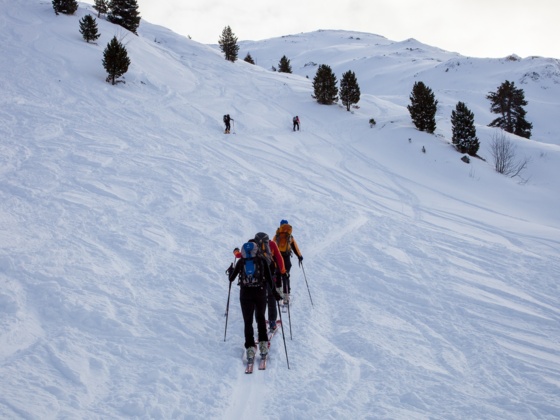 Aufstieg über die Wiesen der Viertelalm