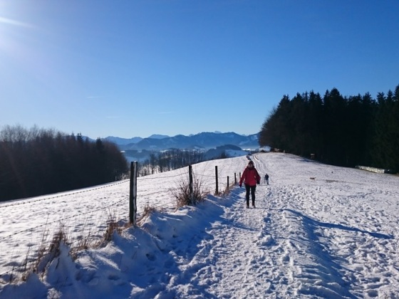 Auf dem Weg zum Damberg