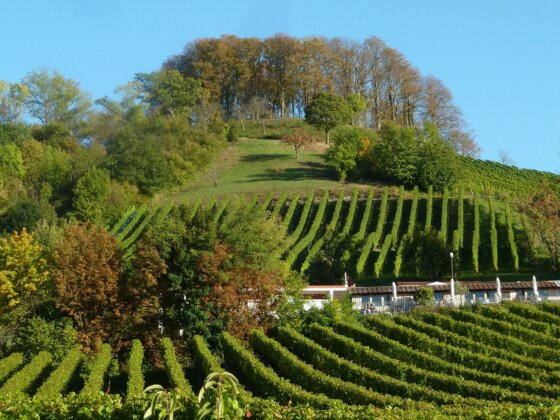 Casteller Schlossberg