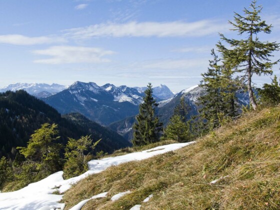 ... zu Veitsberg, Talerjoch und Guffert und ...