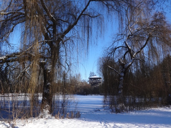 Eisweiher am LAGA Gelände