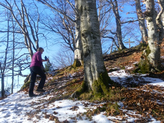 Gipfelkuppe
