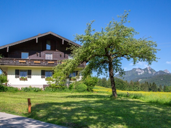 1 FEWO-Fleck Hans STARTBILD