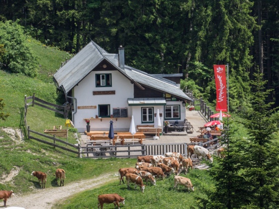 Stallburgalm - Weyer