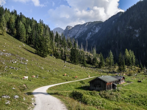 Die Gotzentalalm