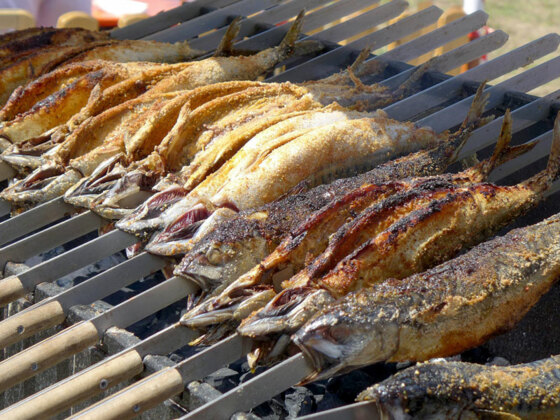 steckerfischgrillstand-wenk-by-pixabay