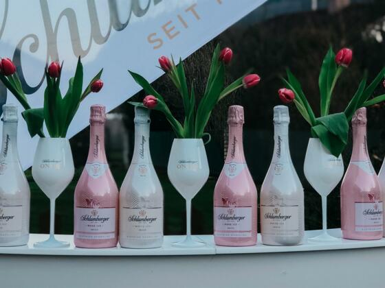 Schlumberer ICE Secco