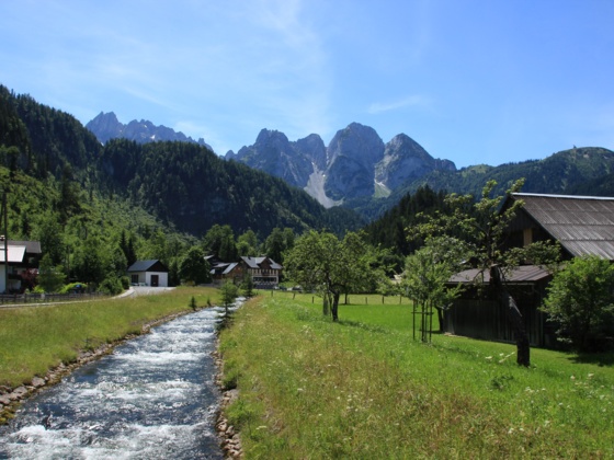 Der Gosaubach