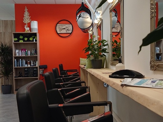 Einzigartig Hairvision