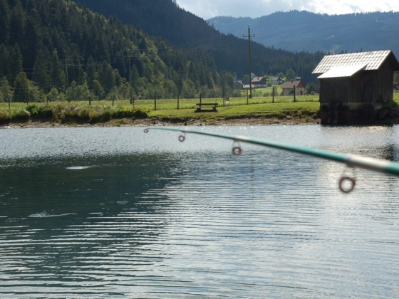 Forellenteich Gosau