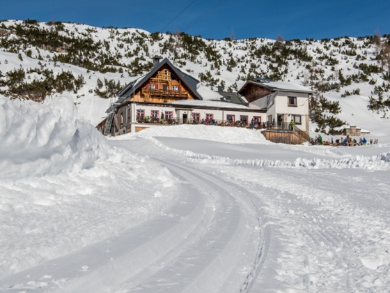 Höhenloipe Dachstein Krippenstein - Gjaid Alm